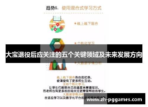 大宝退役后应关注的五个关键领域及未来发展方向
