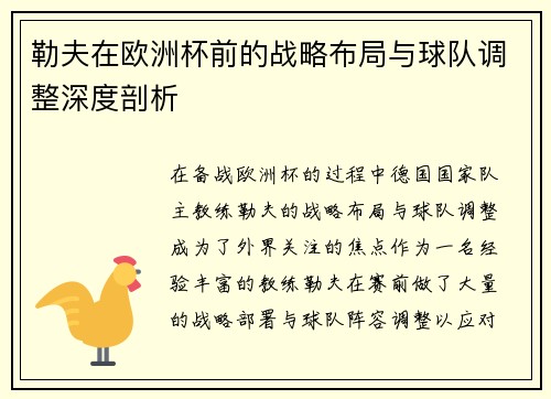 勒夫在欧洲杯前的战略布局与球队调整深度剖析