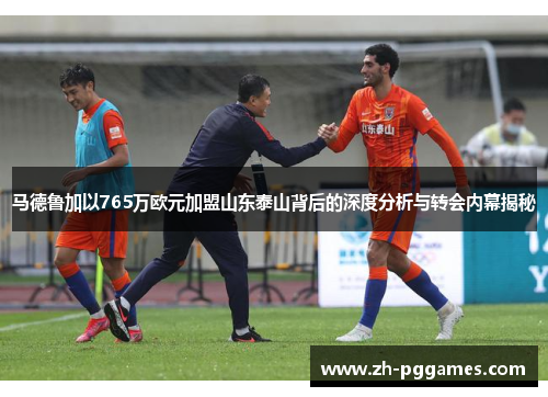 马德鲁加以765万欧元加盟山东泰山背后的深度分析与转会内幕揭秘 马德鲁加以765万欧元加盟山东泰山背后的深度分析与转会内幕揭秘