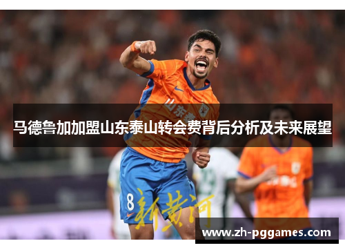 马德鲁加加盟山东泰山转会费背后分析及未来展望 马德鲁加加盟山东泰山转会费背后分析及未来展望