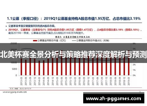 北美杯赛全景分析与策略推荐深度解析与预测