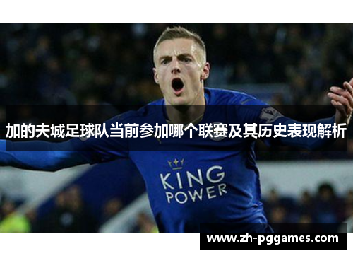 加的夫城足球队当前参加哪个联赛及其历史表现解析