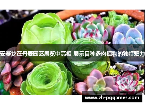 安赛龙在丹麦园艺展览中亮相 展示自种多肉植物的独特魅力